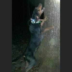 Meet your Posher, Paul